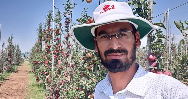 dr samiullah in apple orchard at icar-cith